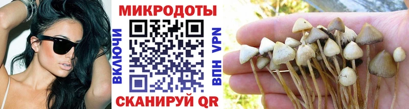 Галлюциногенные грибы мицелий blacksprut ссылка Реутов