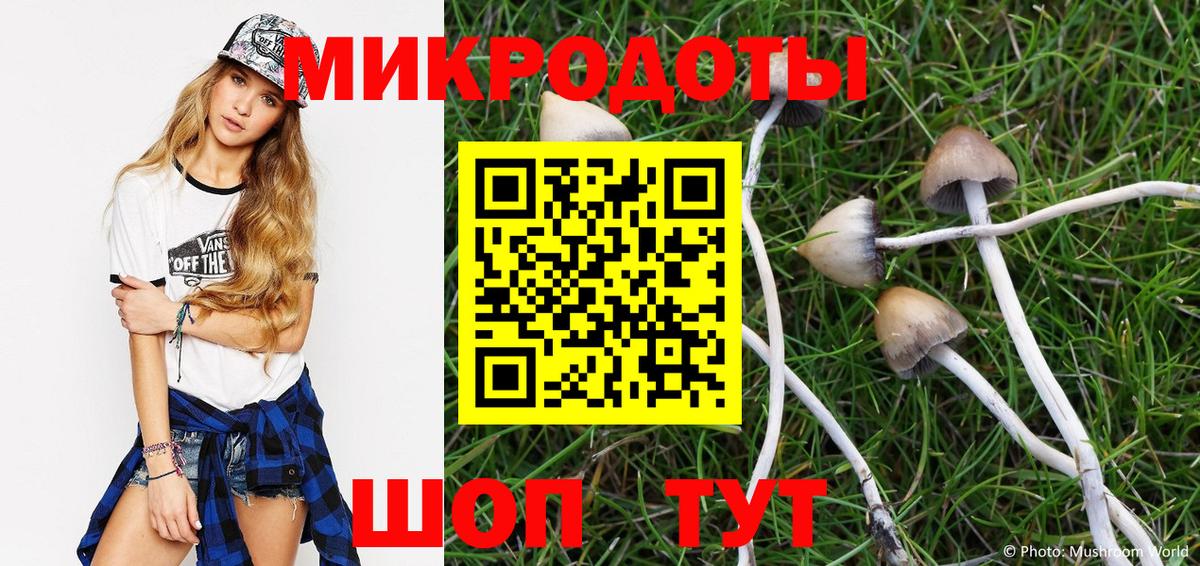 Псилоцибиновые грибы мухоморы Реутов